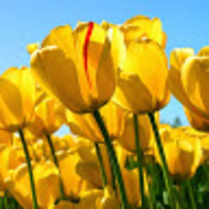 Meet your Posher, Deb